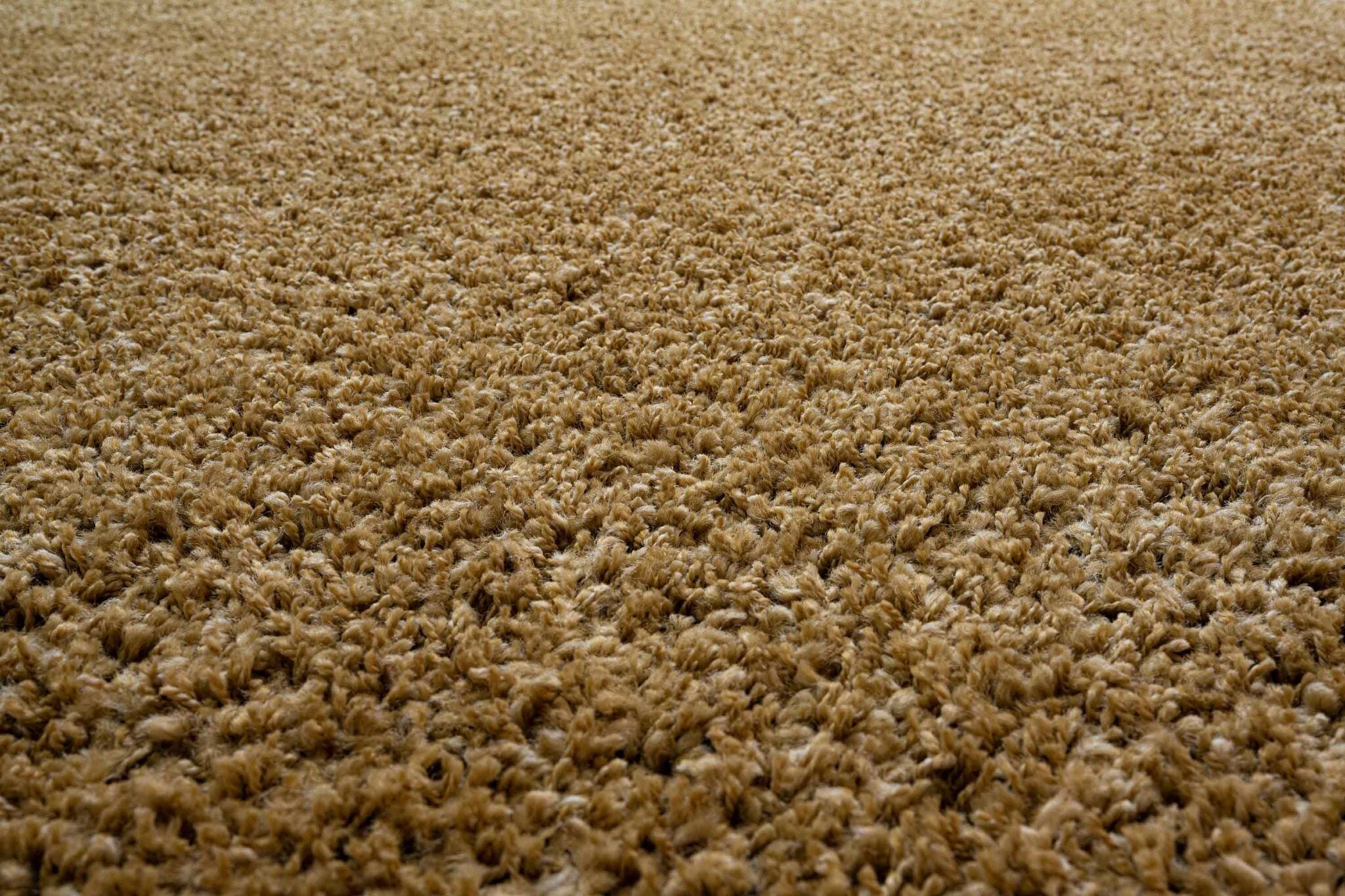 Twilight Shaggy Plain Gold Rug