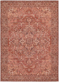 Ziba Vintage Medallion Terracotta Rug