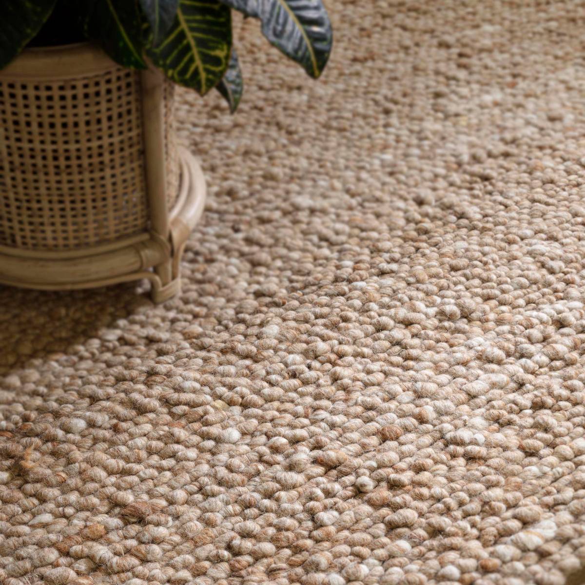 Adler Honey Rug