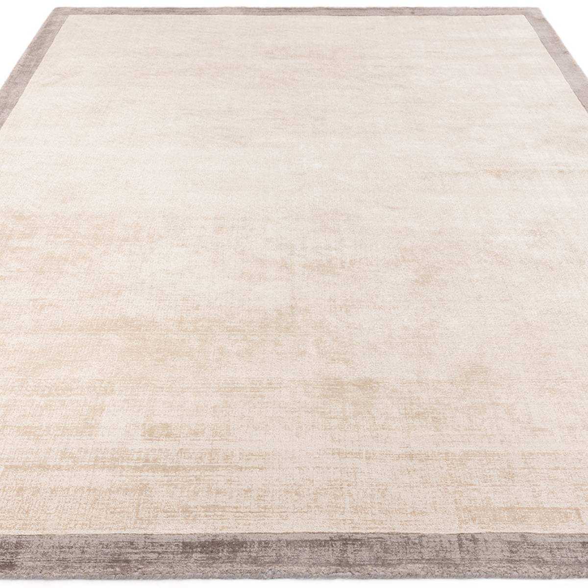Blade Border Putty Silver Rug