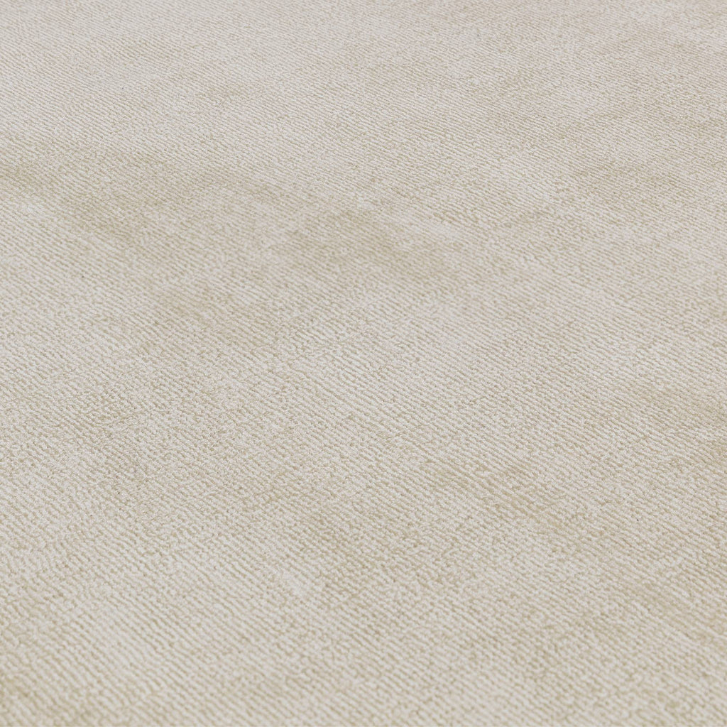 Blade Border Putty Charcoal Rug
