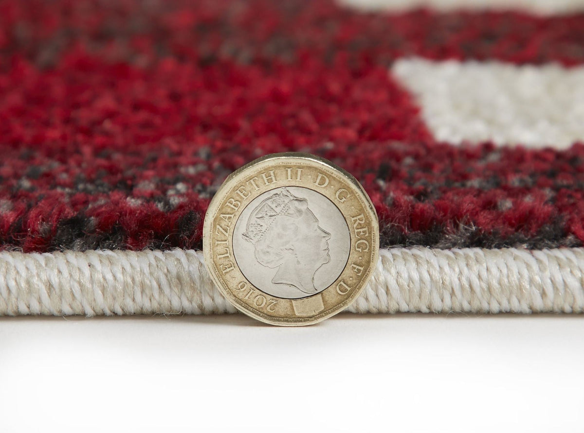 Carnaval Stripe Multicolour Rug