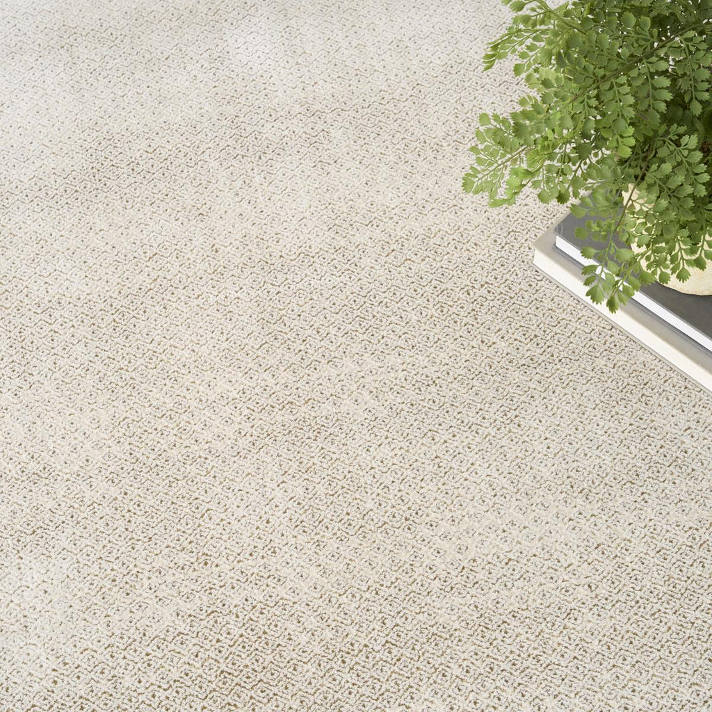 DKNY Grand Street Frame Ivory Taupe Rug
