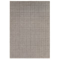Thatch Taupe Rug