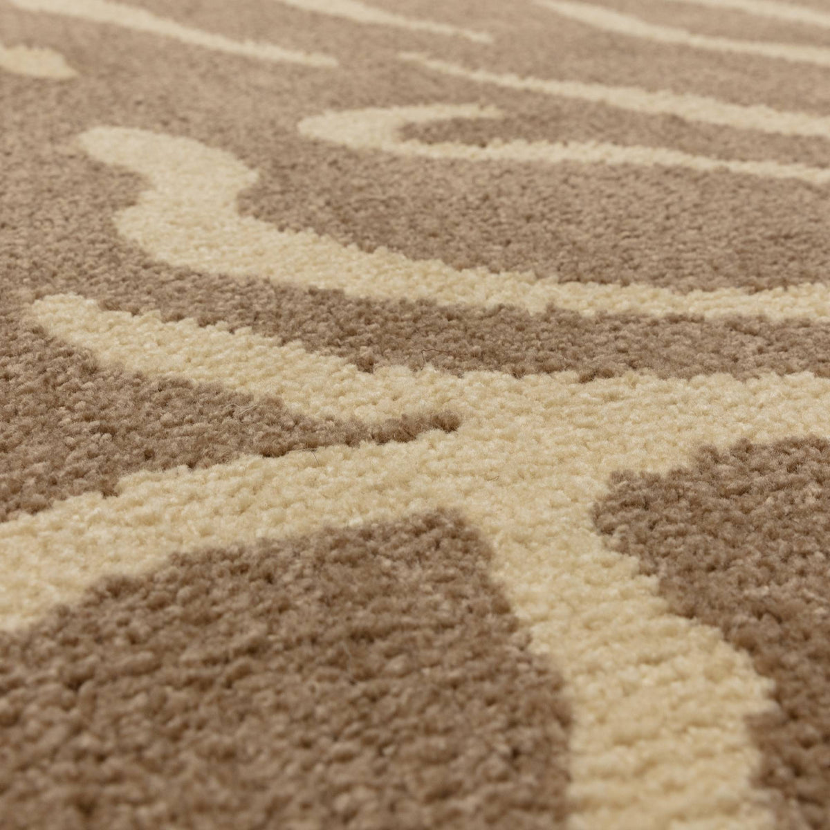Wilder Tiger Taupe Rug